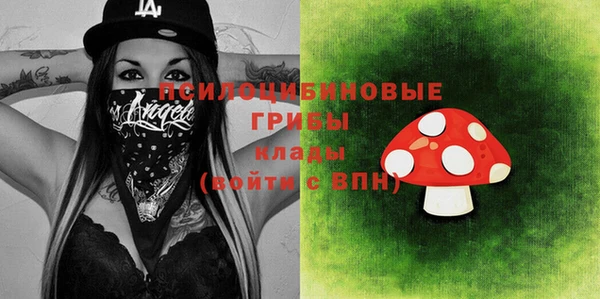 ECSTASY Алзамай