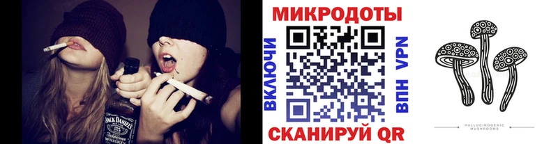 мориарти какой сайт Апатиты Псилоцибиновые грибы Cubensis blacksprut зеркало